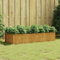 Hovothy Hochbeet 200x80x40 cm Cortenstahl Hochbeet Metall Pflanzkasten Hochbeet Balkon Hochbeete für Garten Kräuterbeet GemüSebeet Dekorativer Garten Balkon oder Terrasse