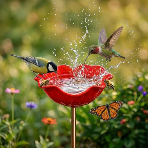 Abreuvoir pour Oiseaux d'Extérieur en Forme de Fleur,Bain d'oiseaux
