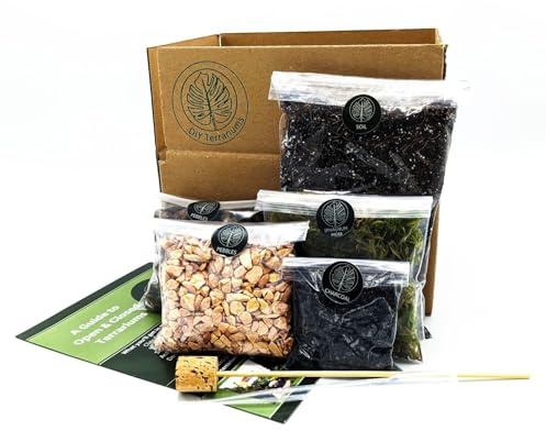 DIY Medium Open and Closed Terrarium Kit (Champagne Pebbles)