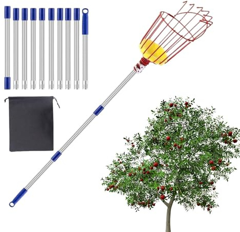 Generisch Varilla recolectora de frutas con cesta, recogedor de árboles frutales de 4 m, varilla portátil para recoger naranjas, melocotones, peras, limones, granadas y nueces