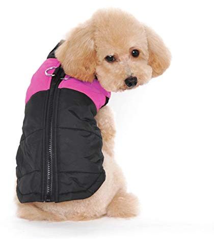 Ectkuee Winter Warm Pet Hund Kleidung klein wasserdichte Hundemantel Jacke Winter Gesteppt Gepolstert Puffer Pet Kleidung…