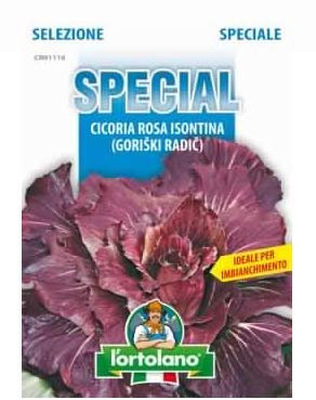 L'ORTOLANO Sementi di ortaggi ibride e selezioni speciali ad uso amatoriale in buste termosaldate (80 varietà) (CICORIA ROSSA DI VERONA SEL. GORIZIANA)