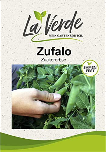 Zuckererbse Zufalo Erbsensamen