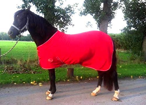 Nuovo tappeto in pile da viaggio con pannocchia e pony shetland mini rosso per spettacoli di cavalli 3'6 -6'9 stabile cooler a scelta di misure (6'9 )…