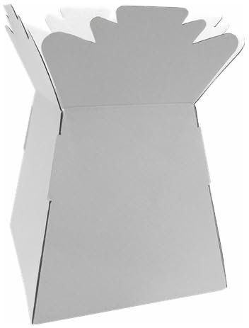 INERRA Florist Boxes - Living Vases for Flower Bouquet Box Making - Pack of 10 (White)