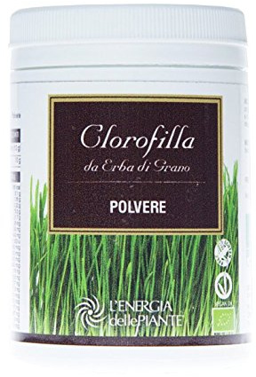 Clorofilla Erba Di Grano Polvere Bio