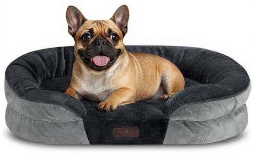 Enjamoy Medium Orthopedic Dog Bed, Dog Beds Sofa with Washable Removable Cover, Waterproof Pet Couch with Side Bolster Puppy Beds for Small Dogs Dark Grey 76x51x17cm