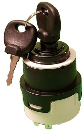 Interruttore di accensione universale 12/24 Volt per macchine agricole e costruzioni come Deutz DX 07 Same Case Zettelmeyer Schaeff, con 2 chiavi incluse