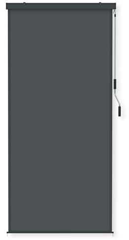 FIVMEN Toldo vertical exterior de 120 x 250 cm, resistente a la intemperie, protección solar con manivela, estor de protección solar para balcón, 120 cm de ancho, protección visual para balcón