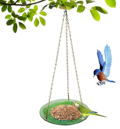 Distributeur de nourriture pour oiseaux | Décoration élégante de mangeoire – Bac pour colibris | Pour une utilisation en extérieur sur la terrasse, dans le jardin, sous l'auvent, sur le balcon, le