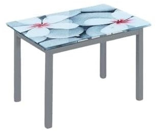 HOGAR24 ES Mesa de Cocina Extensible, Mesa de Cristal, Impresión Floral, Diseño Moderno, Medidas: 100-170 cm (Ancho) x 75 cm (Alto) x 70 cm (Fondo).