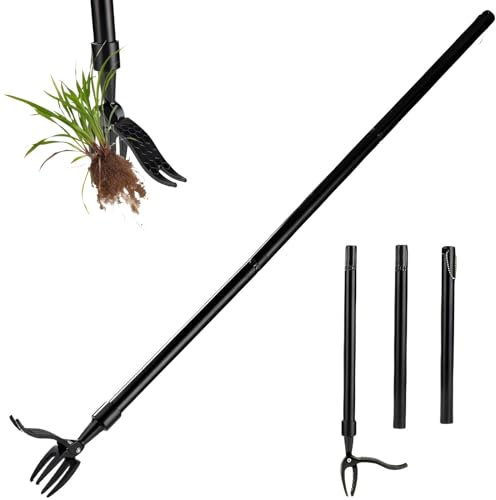 zonmtreo Desmontable Stand Up Weed Puller Tool ，Jardín Herramienta de eliminación de Hierbas Manija Larga, Herramientas de maleza Jardinería Manija Larga (Acero Inoxidable 99,8 cm)