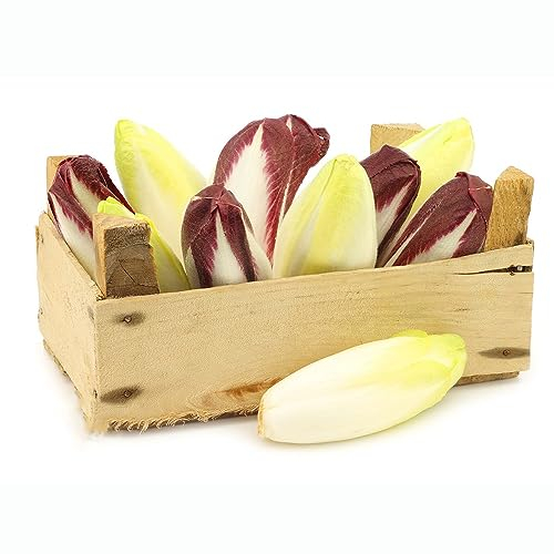 200 Pcs Chicoree Samen Bio - Radicchio Samen - Stauden Winterhart Mehrjährig (Cichorium Intybus) Gemüsesamen & -Pflanzen Winterharte Kübelpflanzen, Geschenke Für Gartenfreunde Winterfeste