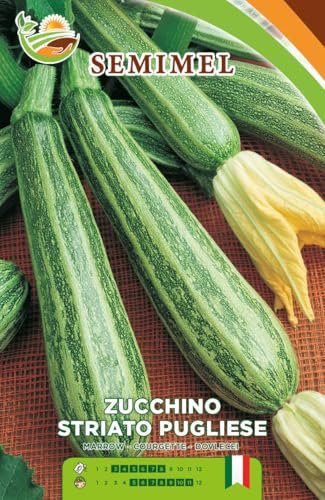 Zucchino Striato Pugliese - Semi di Zucchino con Frutti di 20 cm, Verde Scuro con Striature Chiare Semina da Febbraio a Luglio 2 confezioni