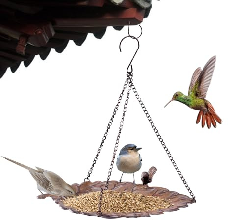 Bkljkf Plateau de nourriture pour oiseaux | Bain d'oiseaux – Bol d'eau et mangeoire pour oiseaux sauvages avec chaîne pour jardin, terrasse, pelouse, arbre