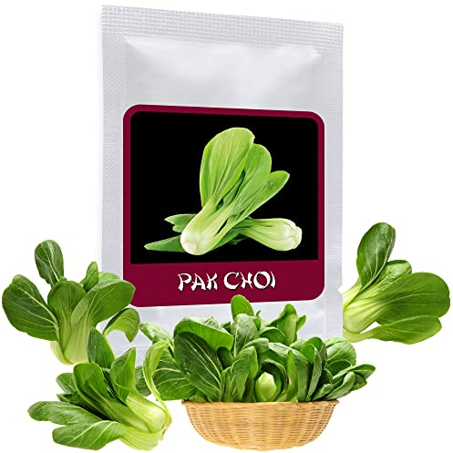 Salade Asiatique Pak Choi 100 graines (Brassica rapa) - Le légume parfait pour la cuisine asiatique