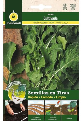 Mascarell Semillas, RUCOLA CULTIVADA, Cultiva Fácil, Crea tu Propio Huerto en Casa, Tira 5 Metros