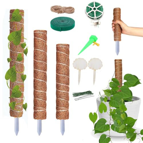 Antspertor Rankhilfe Zimmerpflanzen, 2-6 StüCk 30cm/40cm/50cm Moosstab Erweiterbar,Moosstab FüR Monstera,Rankhilfe Monstera Kann Auf Verschiedene HöHen GespleißT Werden (30cm 2er)
