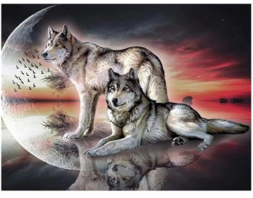 Diamante quadrato 50x40cm square diamond painting adulto grandi completo lupi di pietre quadrate pittura con i numeri adulti e bambini puzzle con perline paint by diamonds per decorazione della casa