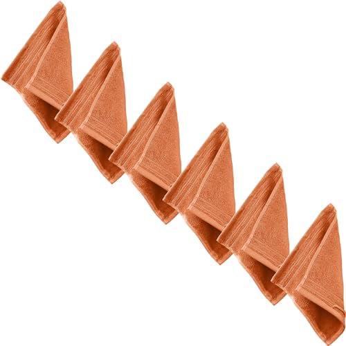 Erwin Müller Seiftuch Heidelberg 6er- Pack, 100% Baumwolle Terra Größe 30x30 cm - weiche Qualität, saugstark und strapazierfähig - praktisch durch Schlaufe