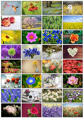 32 Grußkarten Blumen Klappkarten mit 32 Umschlägen Blumen & Garten