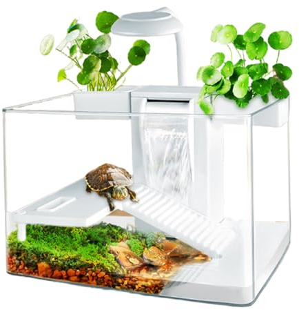 Hbbgdiy Kit Habitat per Acquario, Acquario per Tartarughe con Area Multifunzione e Filtro per l'acqua Completo per Tartarughe e Animali Acquatici