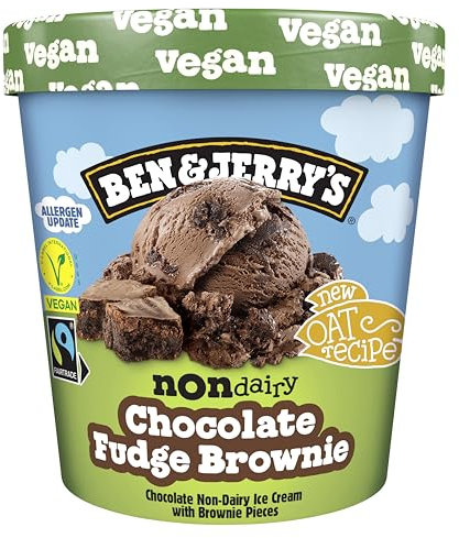 Ben & Jerry's Non Dairy Chocolate Fudge Brownie Vegan Ice Cream Tub 465ml