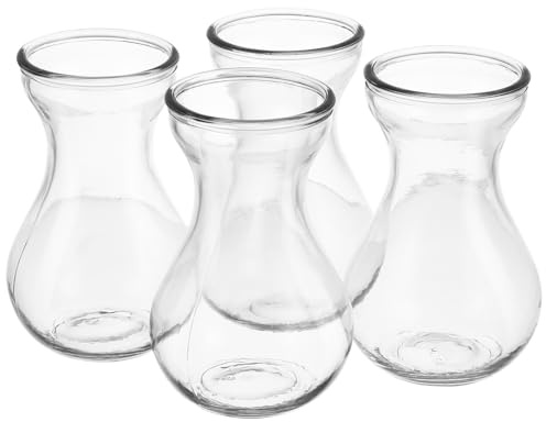 FUTUREORYY 4 pezzi Vasi in Vetro Trasparente per Giacinti Vasi Decorativi Eleganti da Tavolo per Piante e Fiori per Casa Ufficio e Ristorante Design Semplice e Stabile