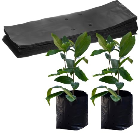 M METERXITY 50 Bolsas De Cultivo para Vivero, 17 X 30 Cm Bolsas De Plástico Grueso para Plantar, Bolsas para Semillas De Jardinería para Patatas/Flores/Tomates/Inicios De Plantas [Negro]