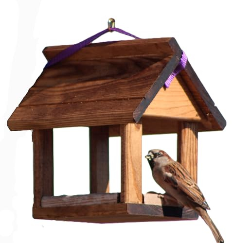 Mangiatoia per uccelli Sparrow con piccolo sacchetto di cibo per uccelli selvatici.