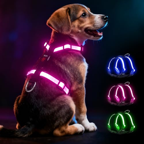 Mehrfarbiges LED Hundegeschirr für Kleine Hunde, USB-C Wiederaufladbar mit Batterieanzeige, Leuchtendes Reflektierendes Hundegeschirr, Verstellbares Anti-Zug Geschirr für Nachtsicherheit