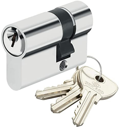Bricard - Demi Cylindre de sécurité pour porte barillet 10x30 mm Alpha Bricard 3 clés