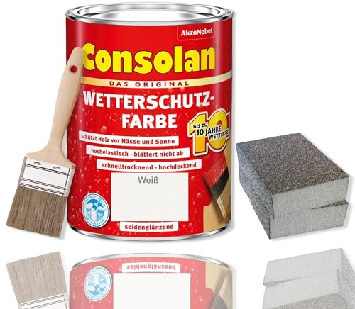 Consolan - Pintura protectora contra la intemperie (5 L), color blanco