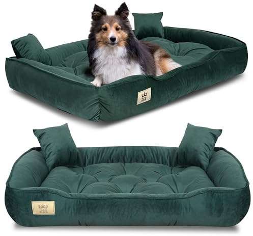 KING DOG Letto per Cani Grande Taglia L 100x75 cm | Morbido e Accogliente per Animali Domestici | Divano Adatto al Lavaggio | Cuccia Interno | Brandina Verde