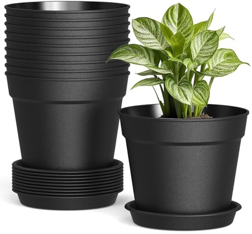 SwinDuck 10 Pack 6 Inch Plant Pots with Drainage and Saucers, Black Plastic Flower Pots for Indoor and Outdoor Plants, Stackable Nursery Planters for Houseplants and Herbs, Black