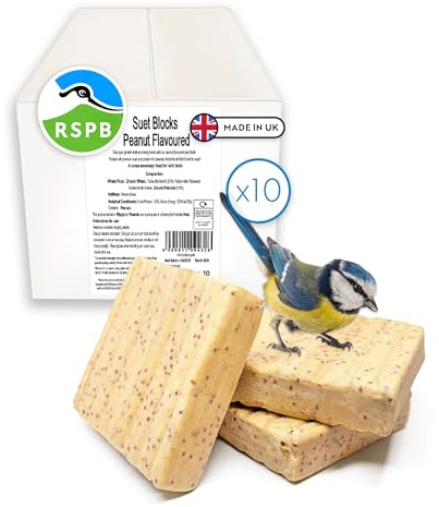 RSPB - Suet Blocks for Wild Birds, Wild Bird Food with Premium Ingredients, Made in the UK, Healthy and Nutritious, Suitable for Year-Round Feeding (Peanut Flavour) (10 x 280g)