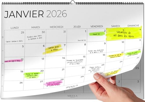Calendrier Mural 2026 A4 – Planificateur Annuel Mensuel Juillet 2025 à Décembre 2026 – Parfait pour Maison Bureau École et Famille – Vue Mensuelle Calendrier Organisation Travail Vacances