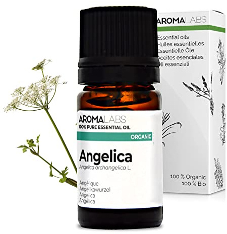 Angélica BIO (Angelica archangelica) - 5 mL - Aceite Esencial Quimiotipado y Certificado AB - Aroma Labs