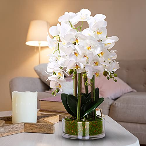 Qucover Orchideen Künstliche im Topf, Groß Weiß Phalaenopsis 57cm mit Glas Vase, Kunstblumen Pflanze wie Echt Dekoration Wohnzimmer Esstisch