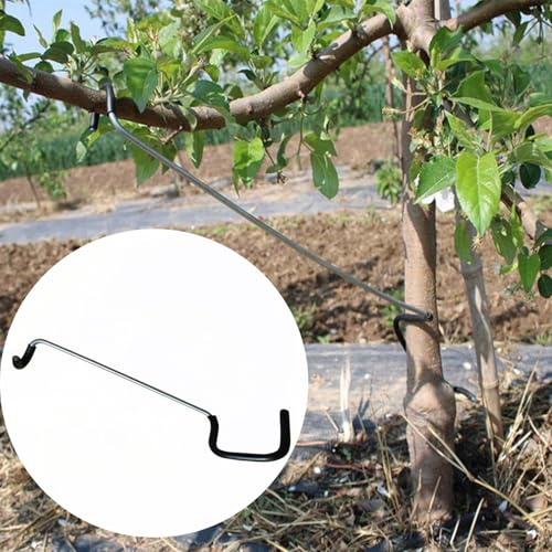 LEILINLIFE Fruktträdgren spridare 10 st fruktträd lem spridare mångsidig hållbar lösning för trädstöd grenar förlängning (35,56 cm)