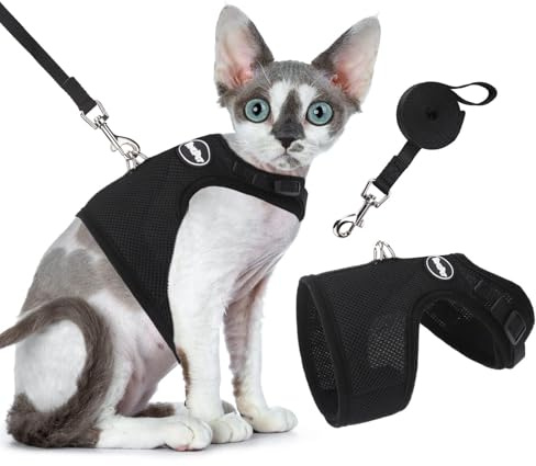 BINGPET Escape Proof Cat Harness and Lead Set, Escape-Proof Cat Kitten Harness with Leash Set for Walking - Adjustable Soft Mesh Holster Style - Best for Kitten Walking Outdoor Walking