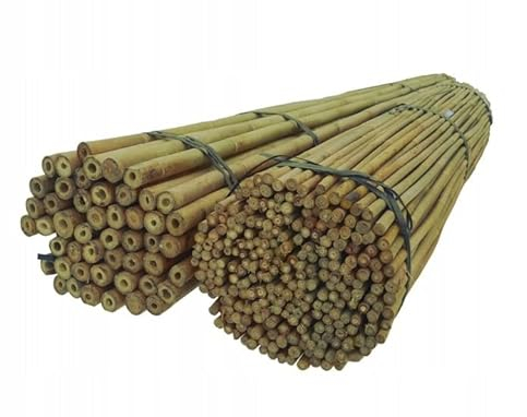 Dixiestore Bambusstangen | Bambusstangen Blumenständer Set | Heavy Duty 180cm x 16-18mm Packung mit 50 häufig verwendeten Pflanzenständer Natürliche Farbe