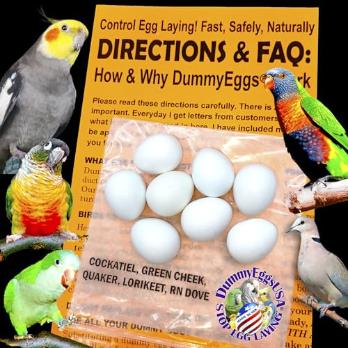 DummyEggs 8 Cockatiel Dummy Bird Eggs Stop Brooding Laying! Tricks Your Bird Everytime! Solid Plastic Fake Eggs Quaker, Green Cheek, Ringneck Dove USA