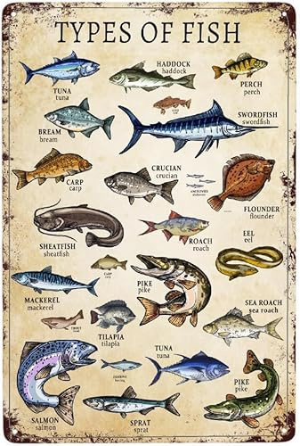 Geroclonup Types of Fish - Letrero de metal vintage para decoración de pared, carteles retro, letreros de metal para el hogar, dormitorio, divertida placa de estaño para jardín, 20 x 30 cm