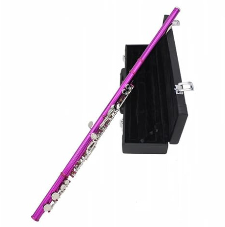 tvärflöjt instrument 16-håls professionell flöjt C-nyckelflöjt musikinstrument