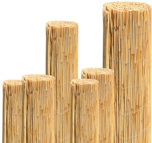 JORON Schilfrohrmatte, 160x600cm Schilfmatte Sichtschutz, 100% Schilf Sichtschutz Zaun, Windschutz & Sonnenschutz, für Haus, Balkon, Terrasse, Garten