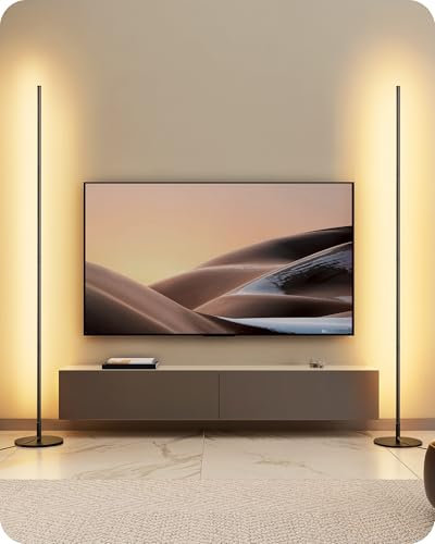 EDISHINE 2 Pack LED Floor Lamp, 146cm Minimalist Dimmable Standing Lamp with Foot Switch, Stepless Dimming, Tall Corner Lamp for Living Room, Bedroom, Office, 3000K, Black