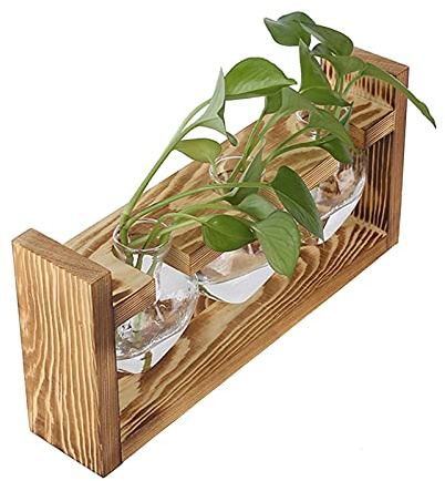 Tomotato Stazione di Propagazione per Piante, Terrario per Piante con Supporto in Legno, Mini Vaso da Tavolo in Vetro Trasparente a Forma di Cuore per Piante Idroponiche(3 Vasi)