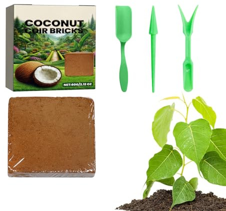 Di Cocco Per Coltivazione,Substrato Organico da Coltivazione con Gusci di Cocco | Substrato Naturale Idroritentivo per Piante in Vaso, Giardinaggio, Rinvaso e Coltivazione Indoor