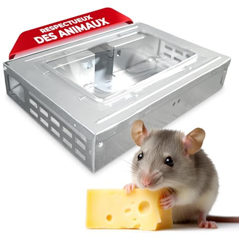 AXELMA® Piège à Souris Vivantes Multi-Capture – Attrape Souris sans Tuer, Efficace en Métal, Sécurisé pour Enfants et Animaux, Réutilisable, Écologique pour Intérieur et Extérieur